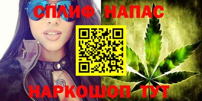 спиды Краснодар