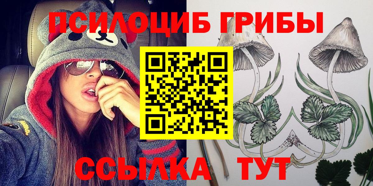 Псилоцибиновые грибы мухоморы  Псилоцибиновые грибы MAGIC MUSHROOMS  купить наркотик  Калуга  Вход с VPN 